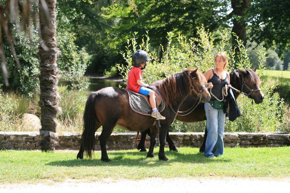 Domaine De L'Orangerie De Lanniron Hotel Quimper Bagian luar foto
